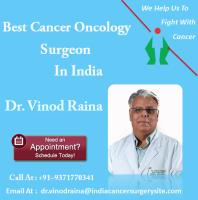 Best Surgeons For Cancer Treatment Dr. Vinod Raina image 1